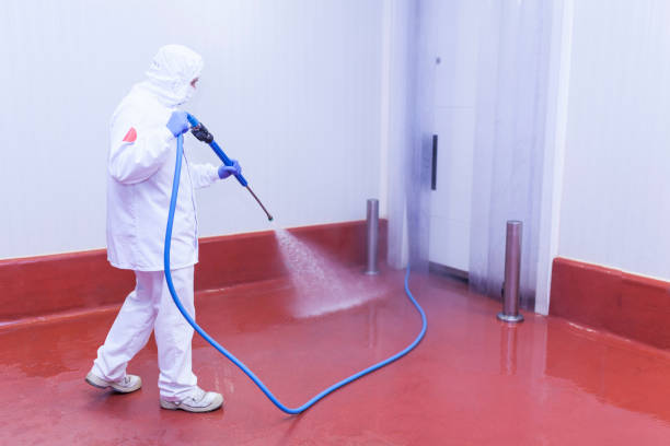 Best Concrete Sealing  in Pecan Grove, TX
