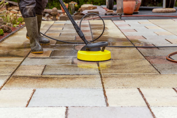 Best Boat and Dock Cleaning  in Pecan Grove, TX