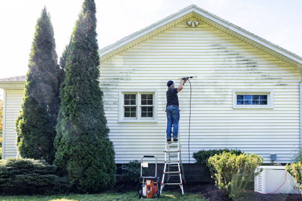 Best House Exterior Washing  in Pecan Grove, TX